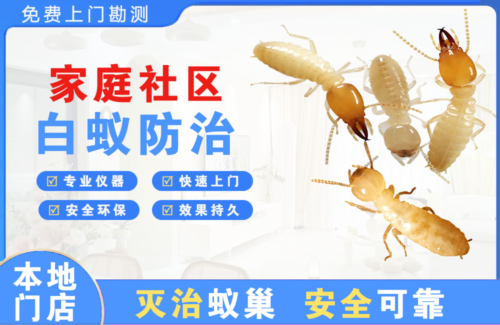 上杭家庭社区白蚁防治
