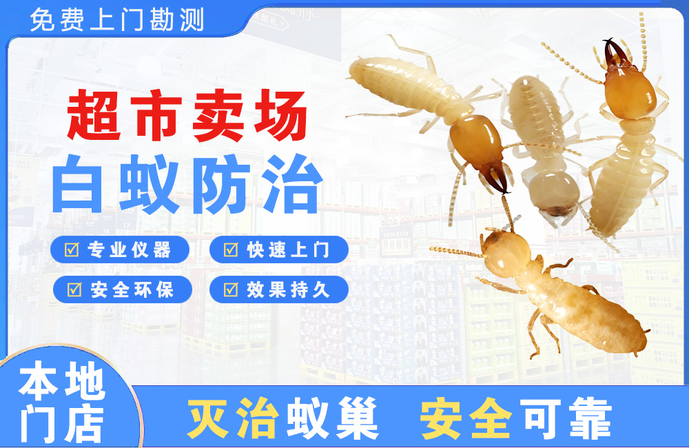 上杭超市卖场白蚁防治