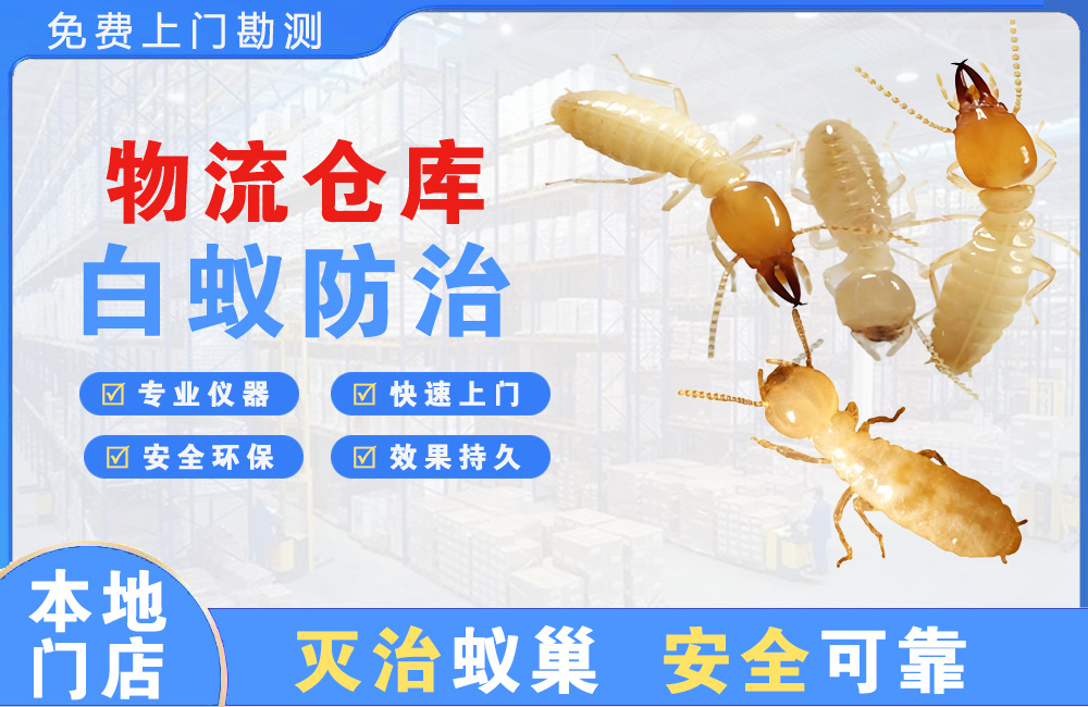 上杭物流仓库白蚁防治