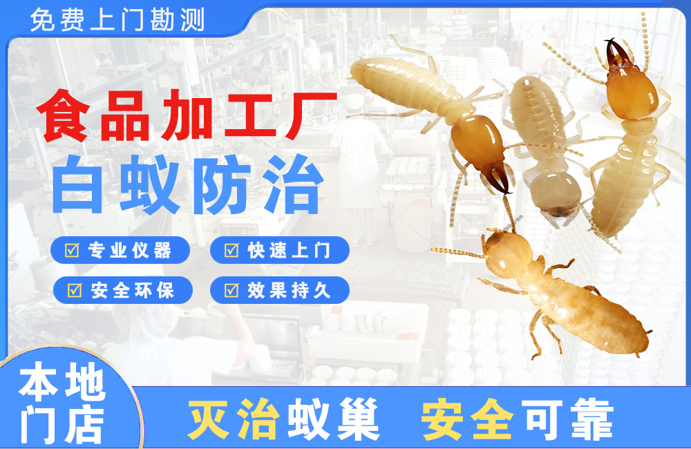 上杭食品加工厂白蚁防治