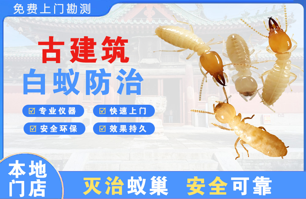 上杭古建筑白蚁防治