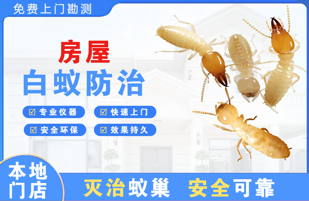 上杭房屋白蚁防治