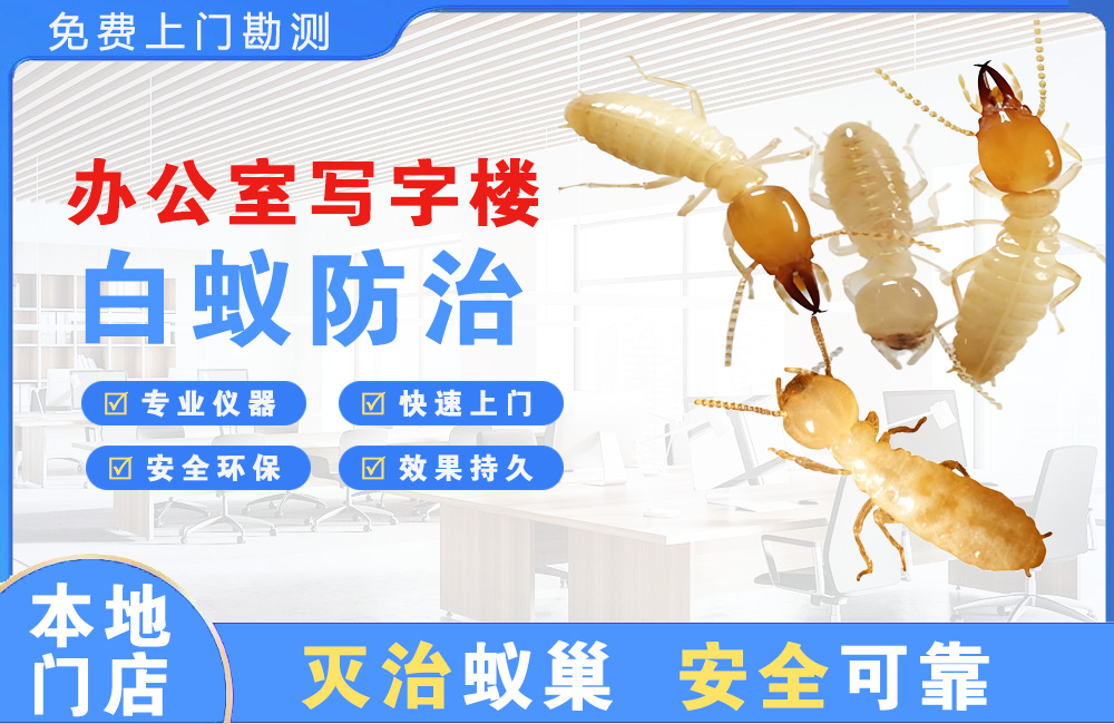 上杭办公室写字楼白蚁防治