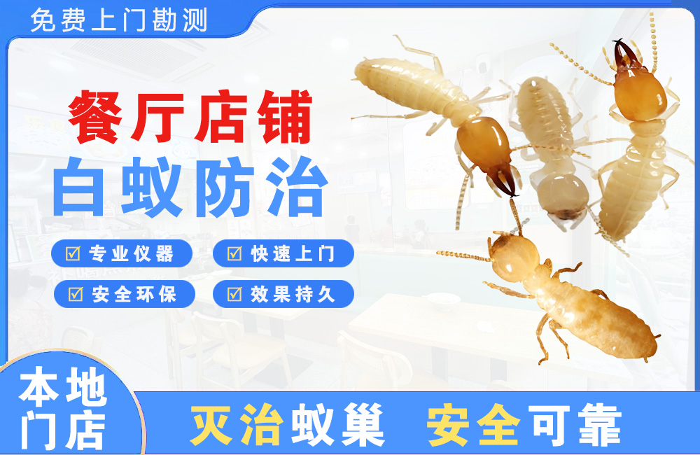 上杭餐厅店铺白蚁防治